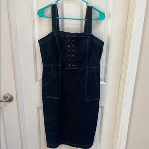 NWT INC Denim Sleeveless Dress